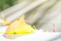 另一方面也 另一方面也