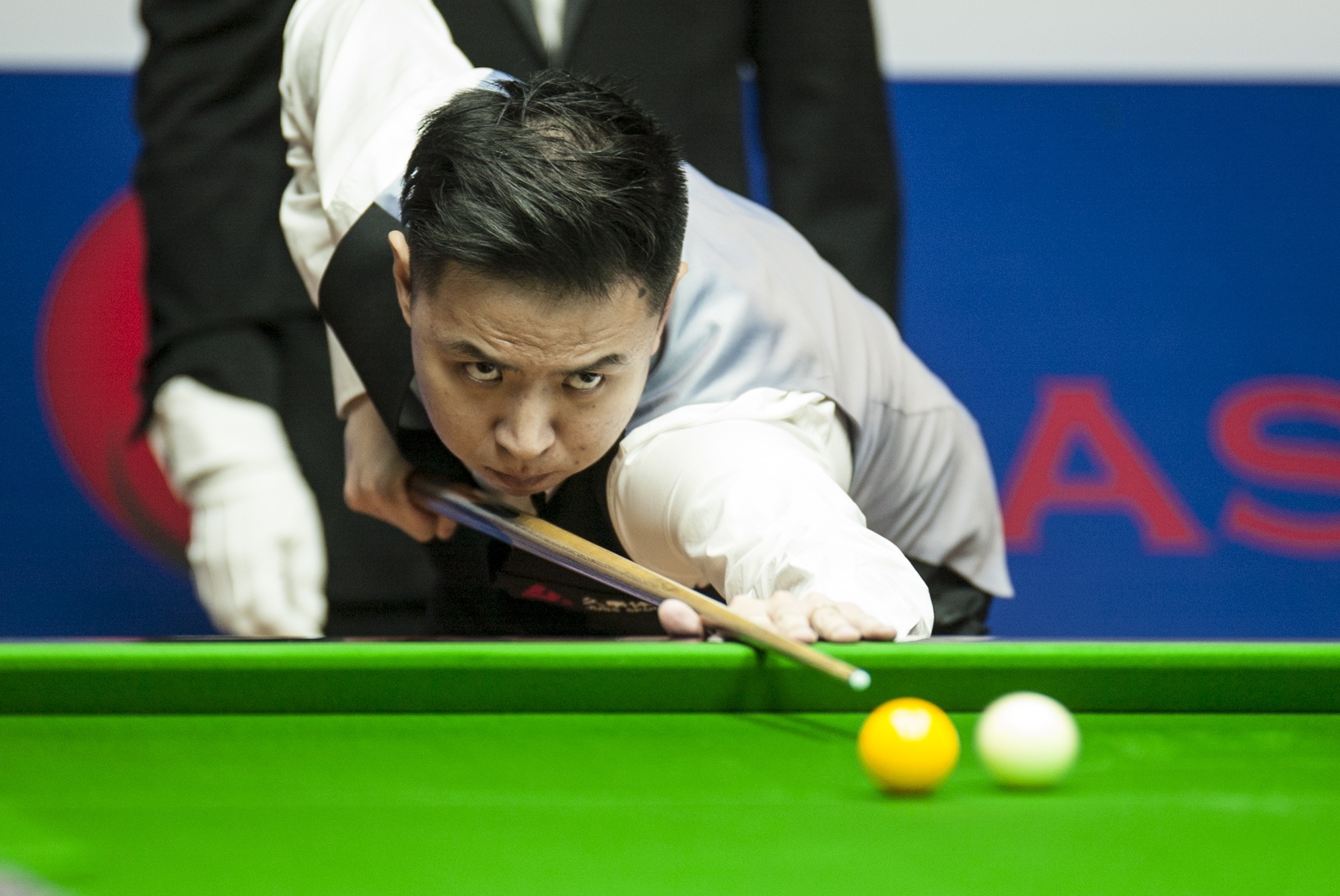 可持续性 可持续性