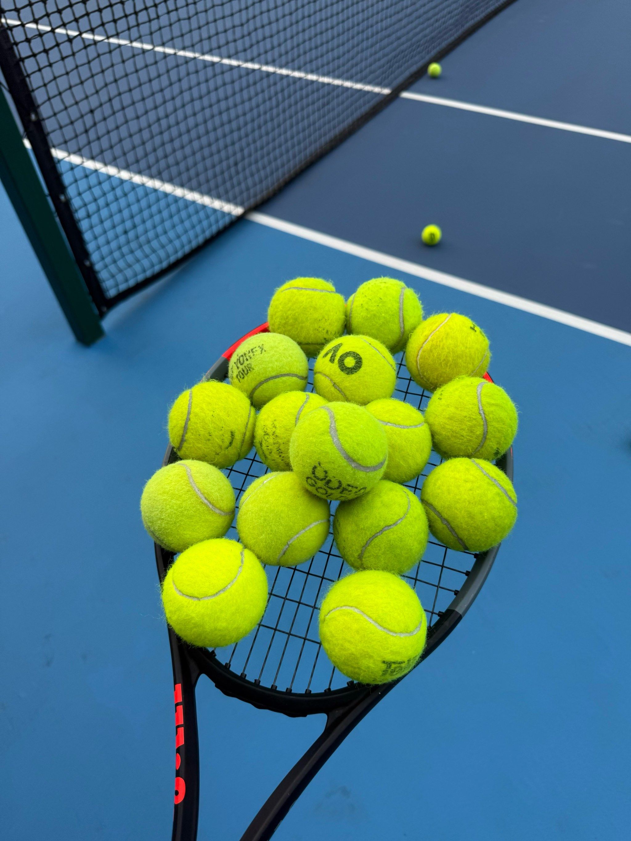 他的强项不 他的强项不